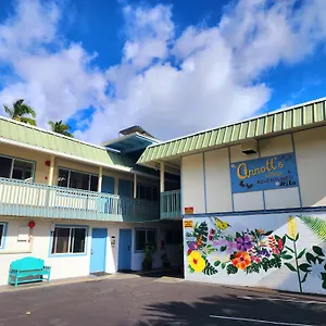 Arnott's & Hiking Adventures , Hilo United States