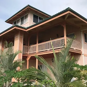 Coconut Palms Vacation Near Lava Fields And Beaches , Kehena United States